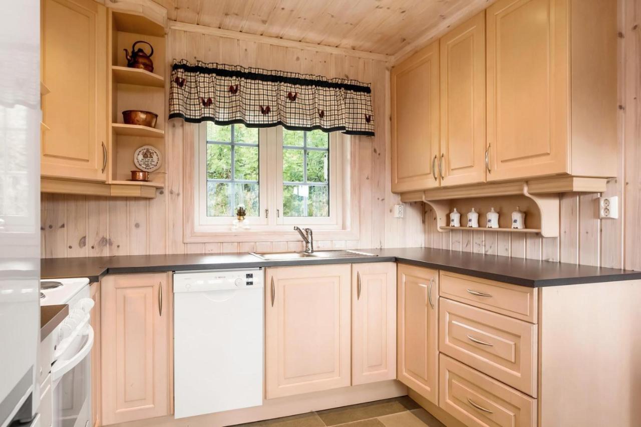 Reveenka - Cabin In Trysil With Jacuzzi For Rent Eksteriør billede